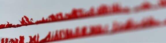 Copyright Tmeb.de (c) Tmeb.de